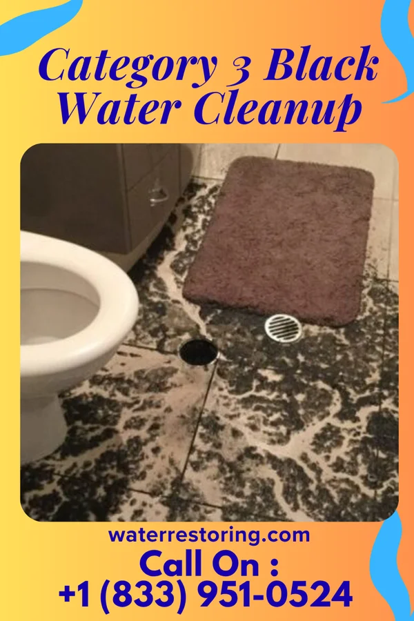 Category 3 Black Water Cleanup in Malverne Park Oaks, NY