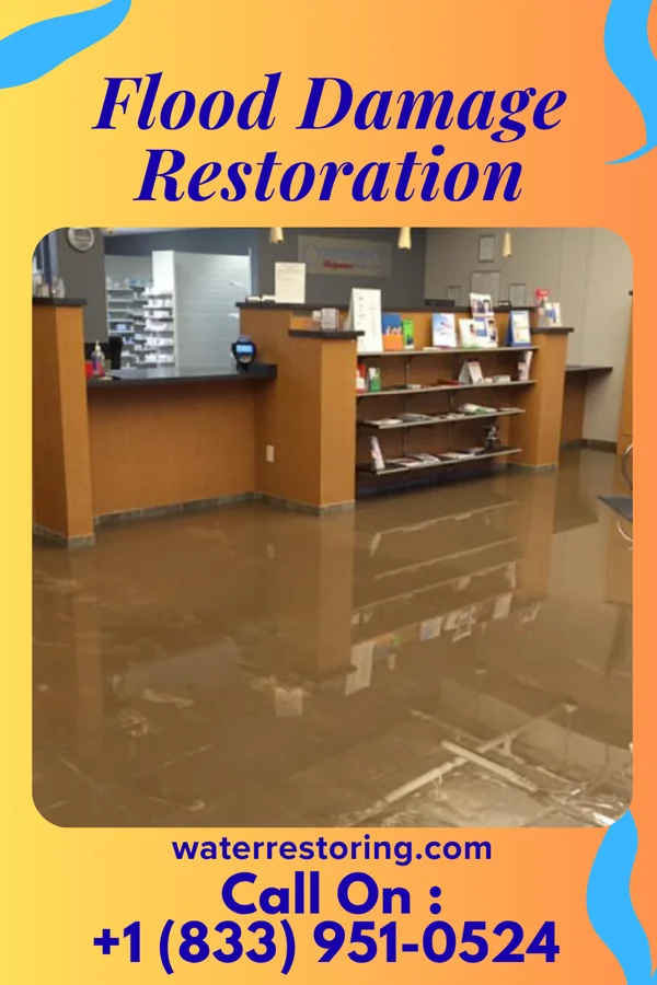 Flood Damage Restoration in Malverne Park Oaks, NY