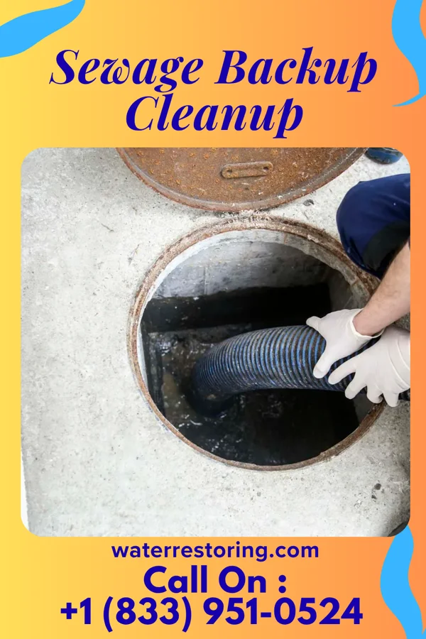 Sewage Backup Cleanup in Malverne Park Oaks, NY