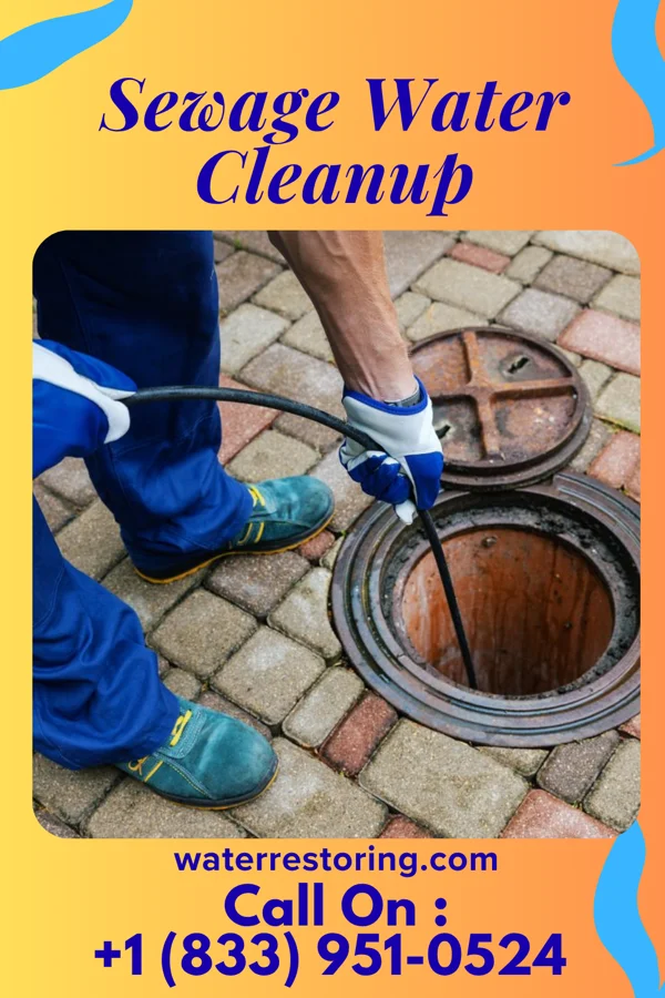 Sewage Water Cleanup in Malverne Park Oaks, NY