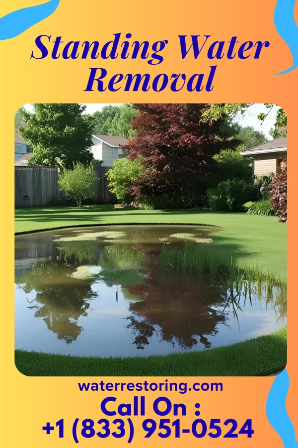 Standing Water Removal in Malverne Park Oaks, NY